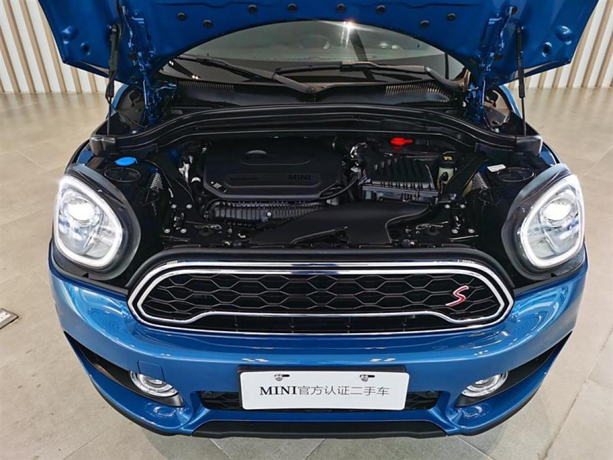 MINI COUNTRYMAN  2019款 2.0T COOPER S ALL4 藝術(shù)家圖片