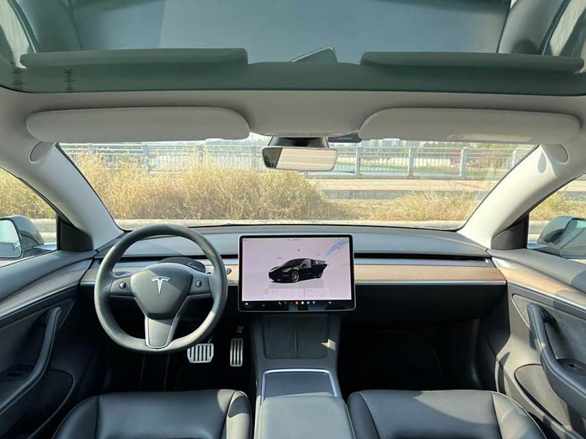 特斯拉 Model 3  2022款 Performance高性能全輪驅(qū)動版圖片