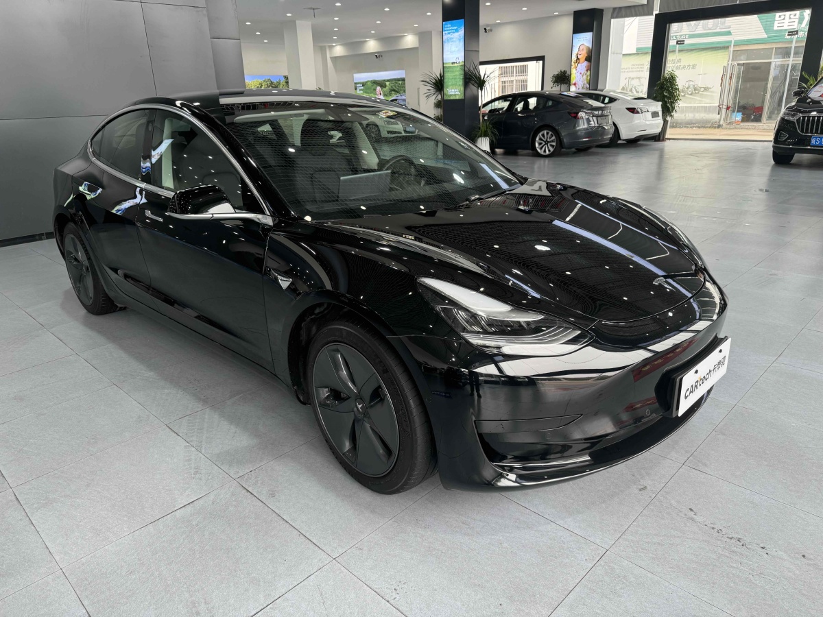 特斯拉 Model 3  2019款 標(biāo)準(zhǔn)續(xù)航后驅(qū)升級(jí)版圖片