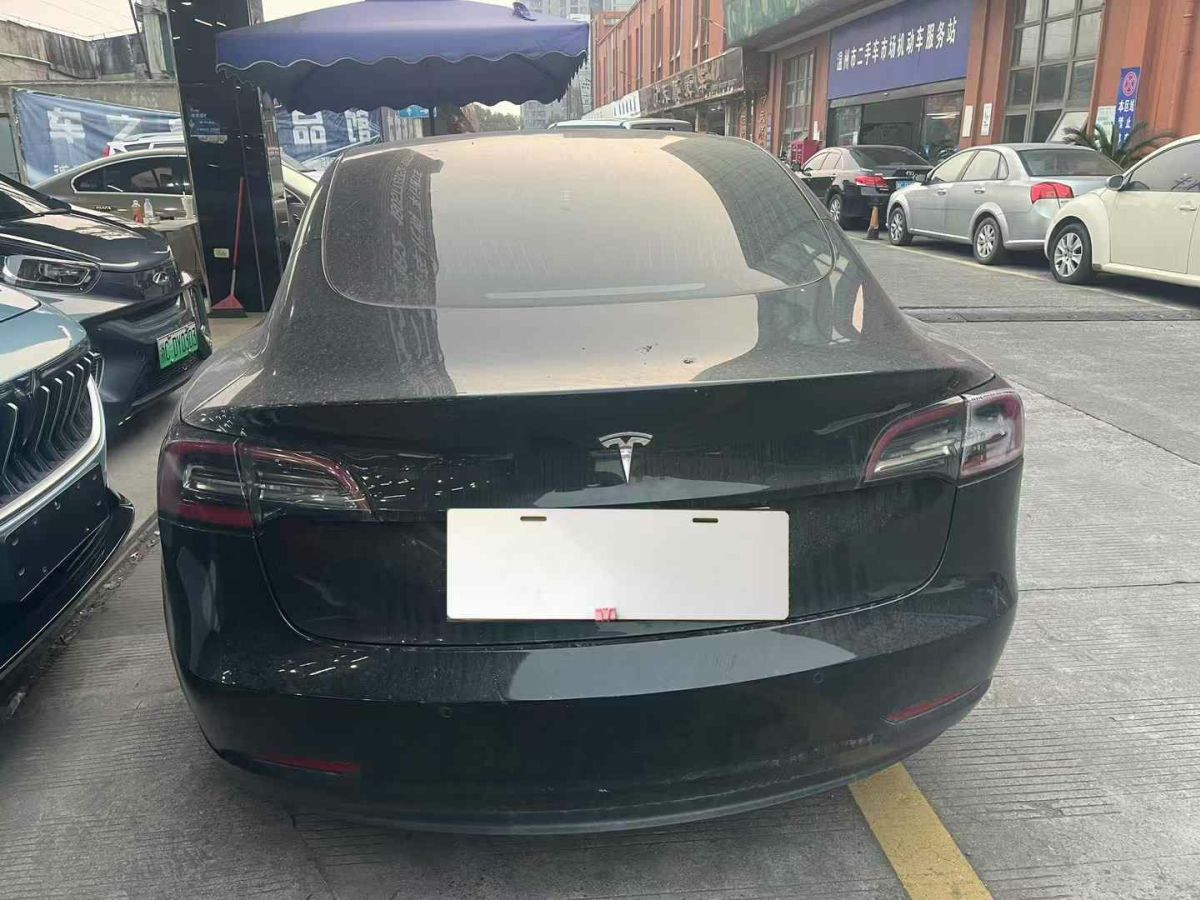 特斯拉 Model X  2020款 Performance 高性能版圖片