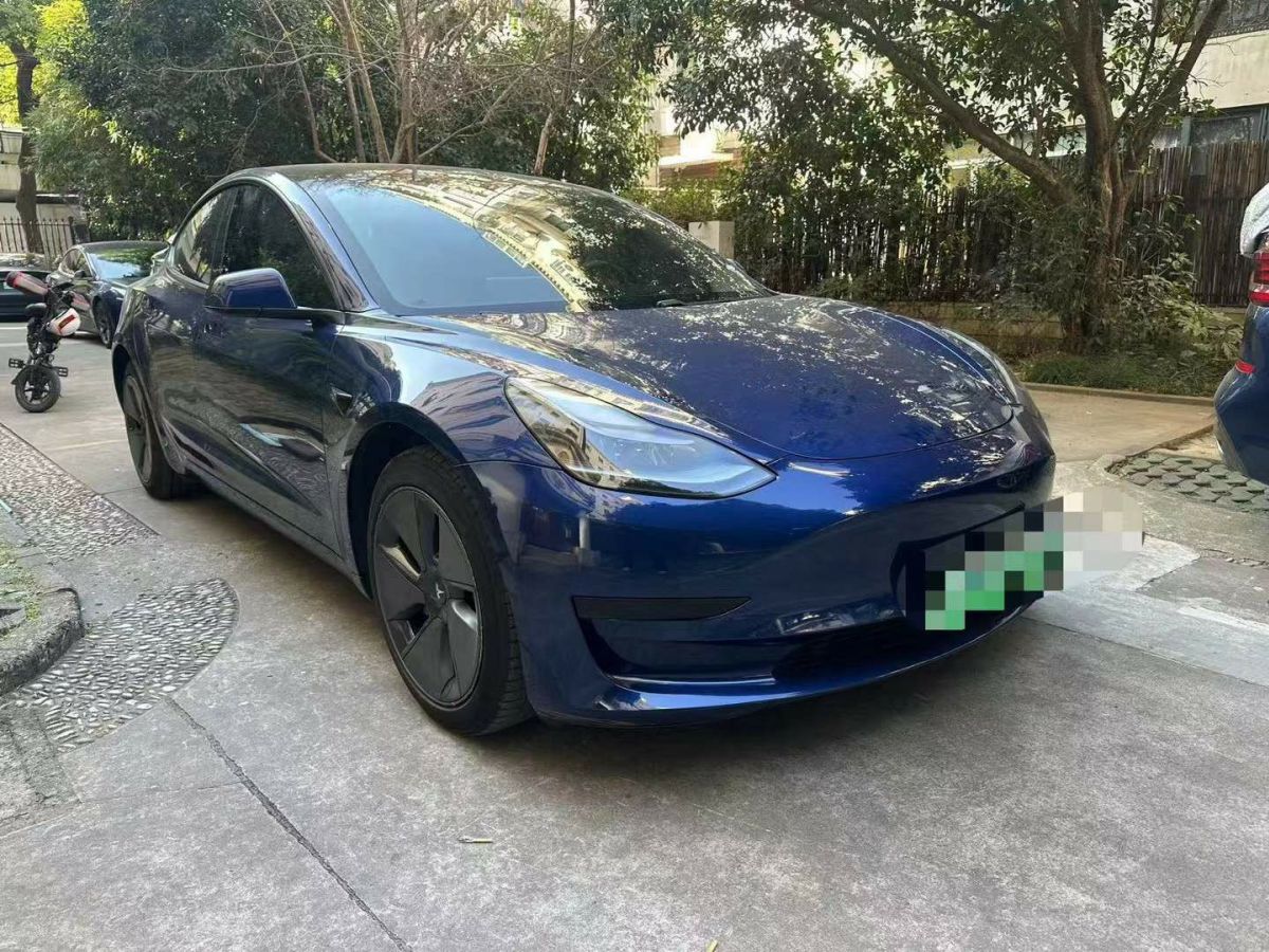 特斯拉 Model Y  2021款 Performance高性能全輪驅(qū)動版圖片