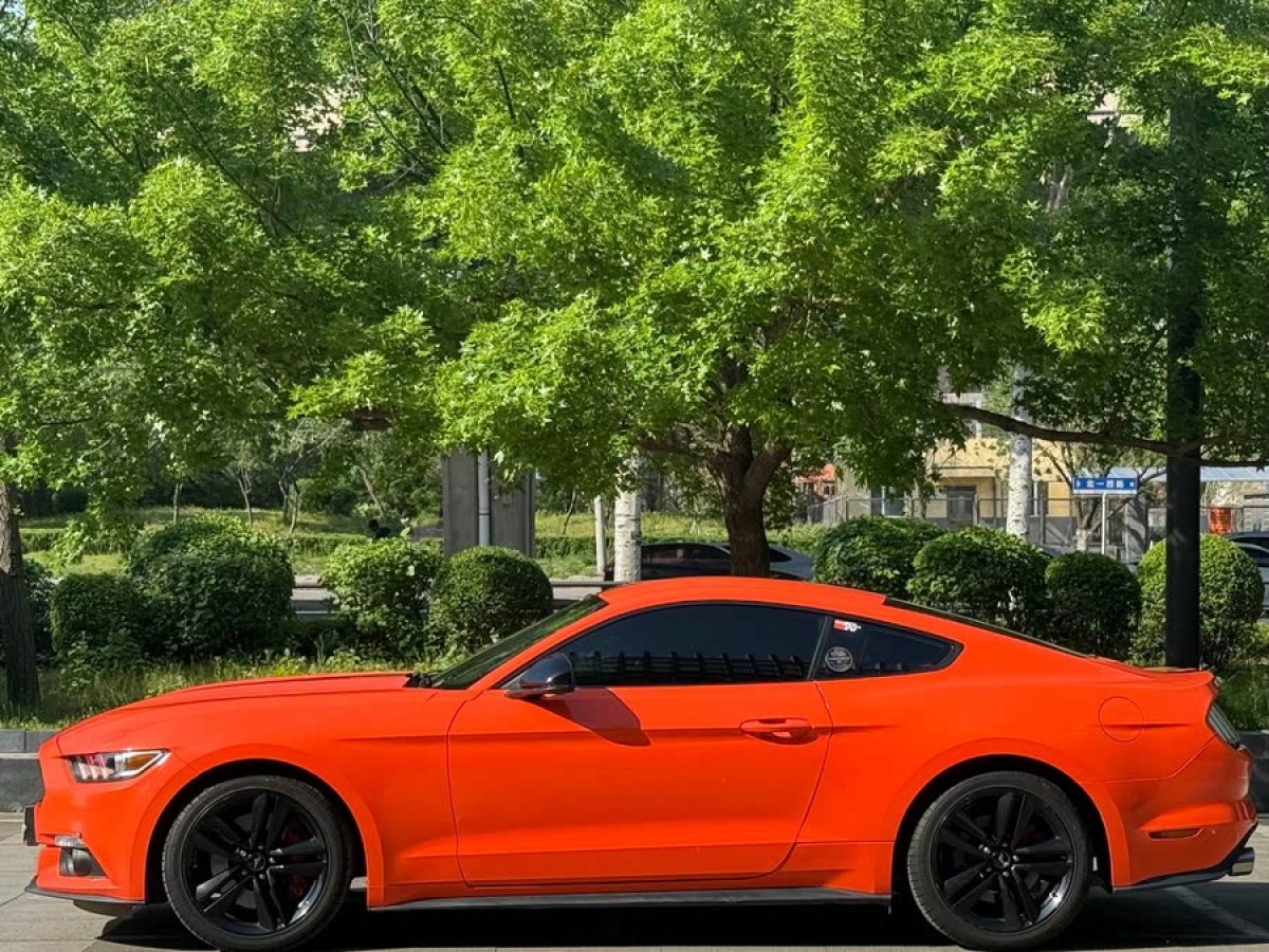 福特 Mustang  2015款 2.3T 運動版圖片