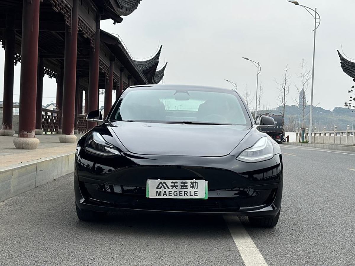 特斯拉 Model 3  2019款 標準續(xù)航后驅(qū)升級版圖片