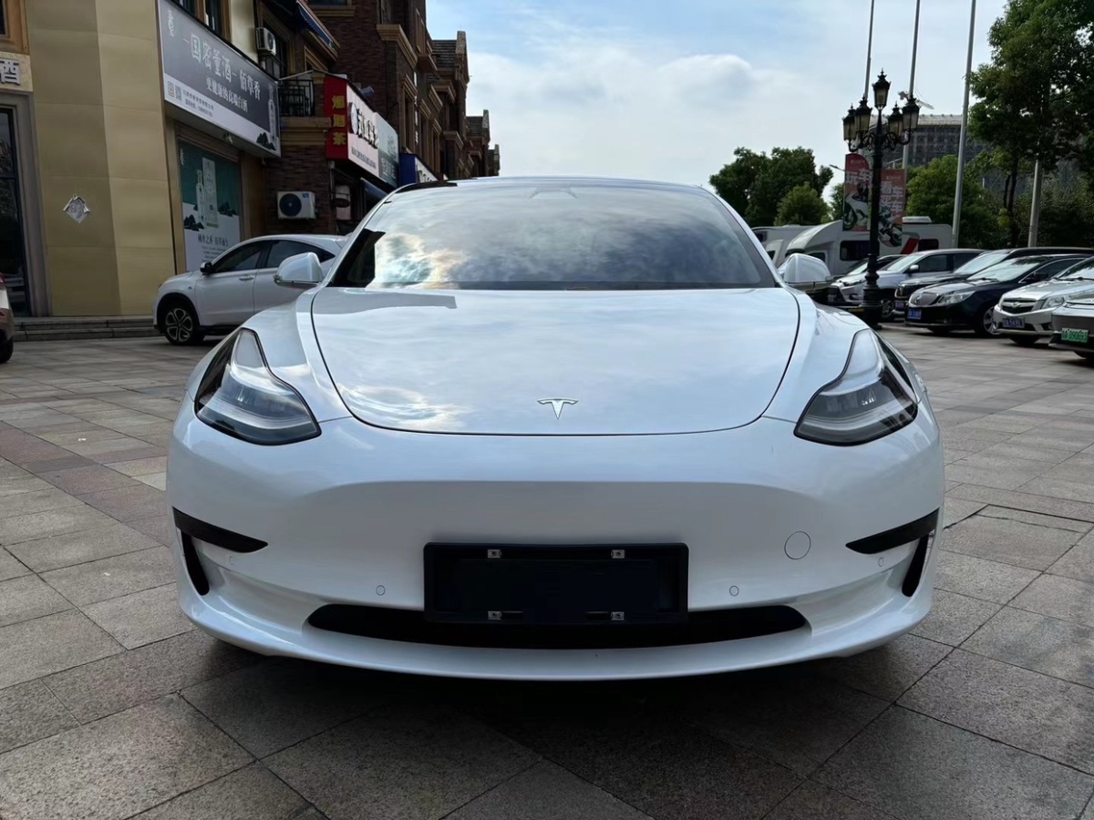 特斯拉 Model Y  2020款 長續(xù)航后輪驅(qū)動版圖片