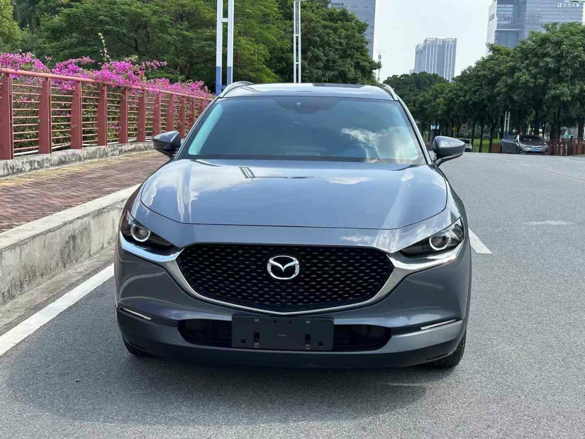 馬自達 CX-30  2020款 2.0L 手動尚悅型圖片