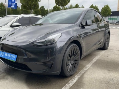 2024年03月 特斯拉 Model Y 长续航全轮驱动版图片