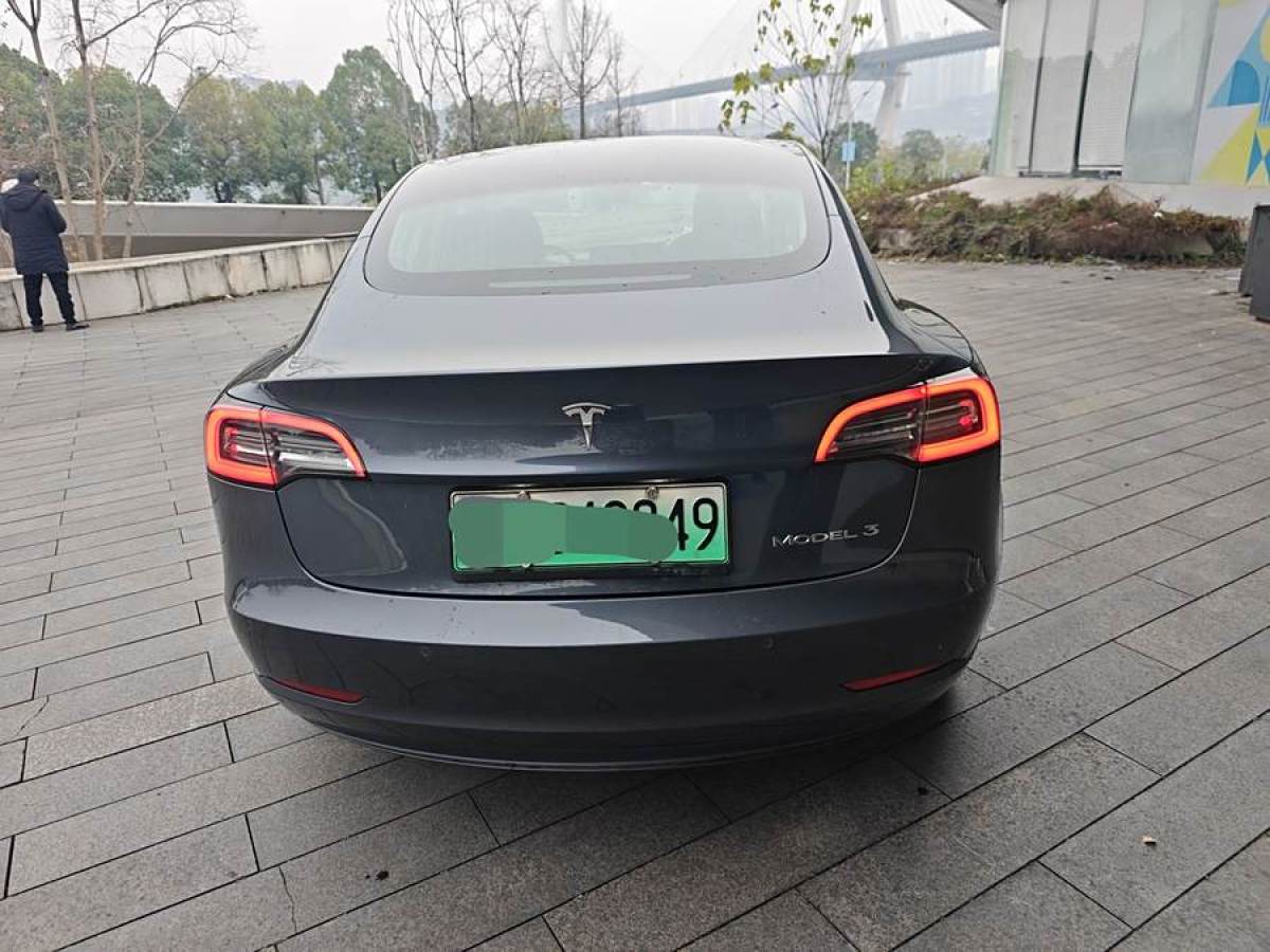 特斯拉 Model 3  2019款 標(biāo)準(zhǔn)續(xù)航后驅(qū)升級版圖片