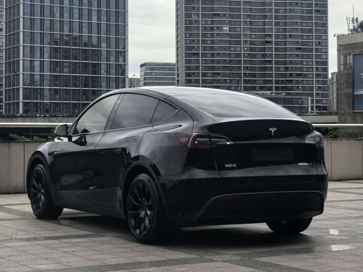 特斯拉 Model Y  2021款 標(biāo)準(zhǔn)續(xù)航后驅(qū)版圖片
