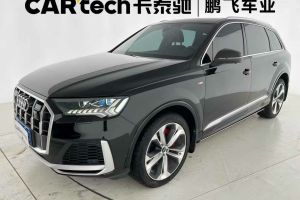 奥迪Q7 奥迪 45 TFSI quattro S line运动型