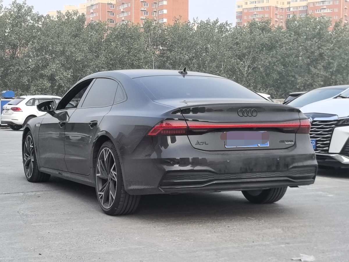 奥迪 奥迪A7L  2023款 45 TFSI quattro S-line 黑武士版图片