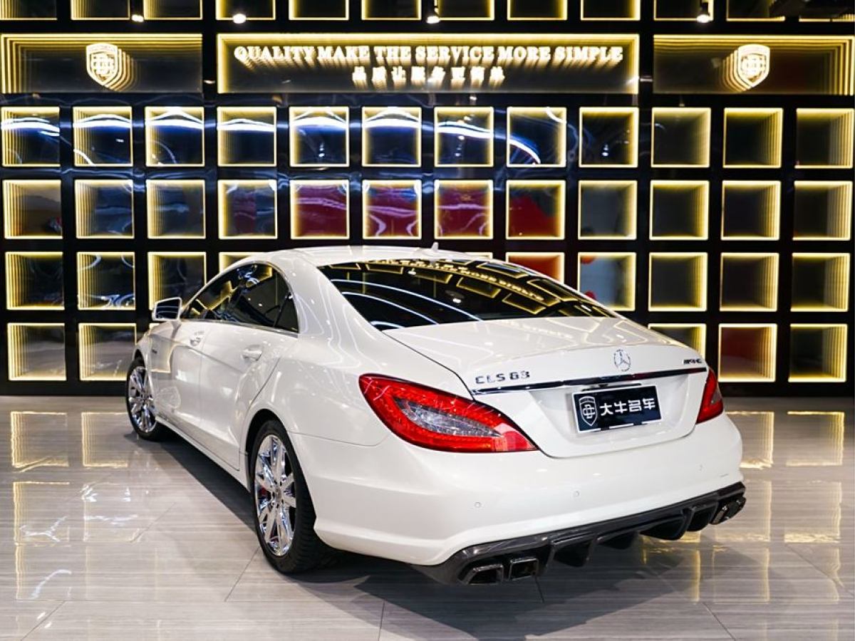 奔馳 奔馳CLS級  2012款 CLS 300 CGI圖片