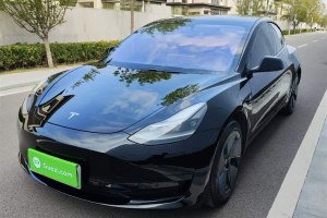 Model 3 特斯拉 改款 標(biāo)準(zhǔn)續(xù)航后驅(qū)升級版