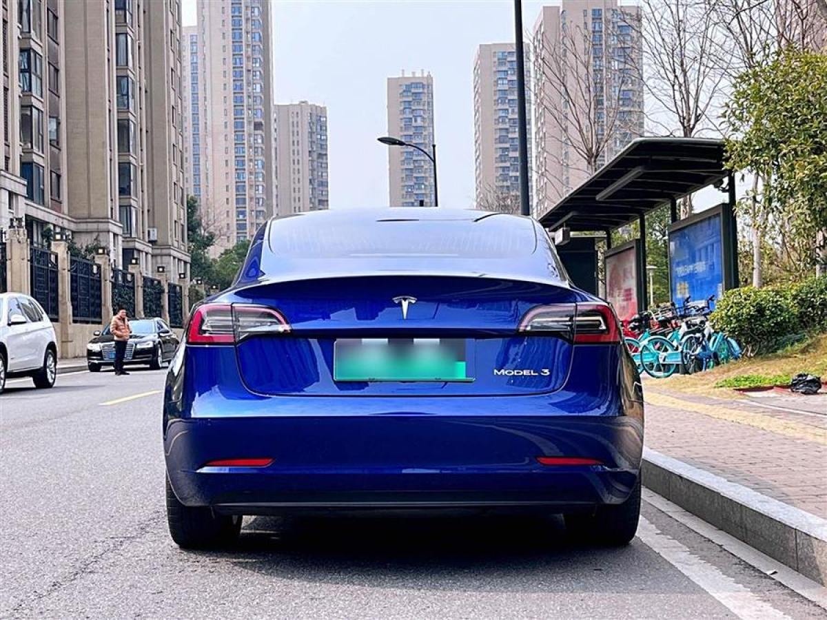 特斯拉 Model 3  2019款 標(biāo)準(zhǔn)續(xù)航后驅(qū)升級版圖片