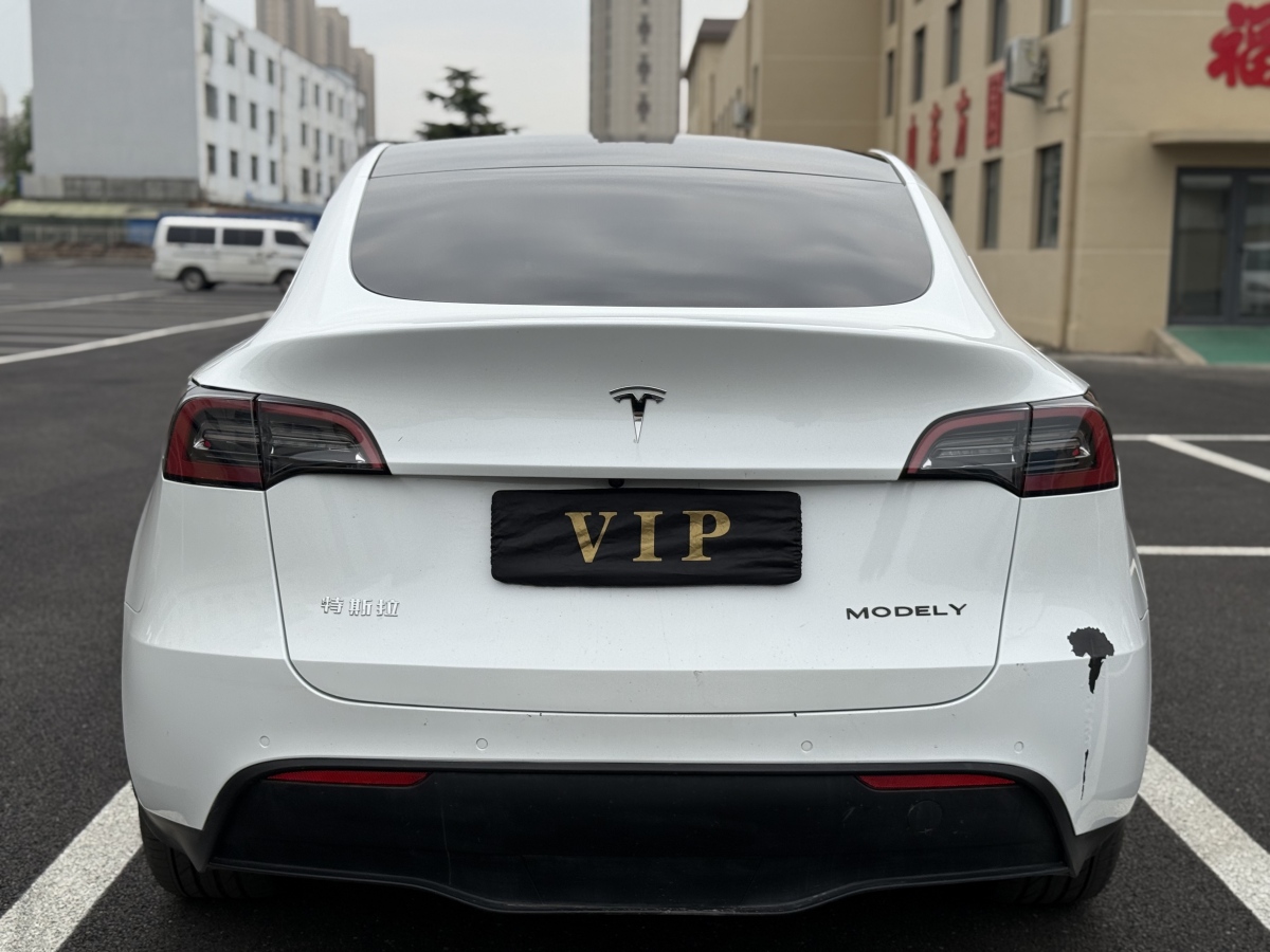 特斯拉 Model Y  2021款 標(biāo)準(zhǔn)續(xù)航后驅(qū)版圖片