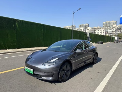 2019年9月 特斯拉 Model 3 Performance高性能全輪驅(qū)動版圖片