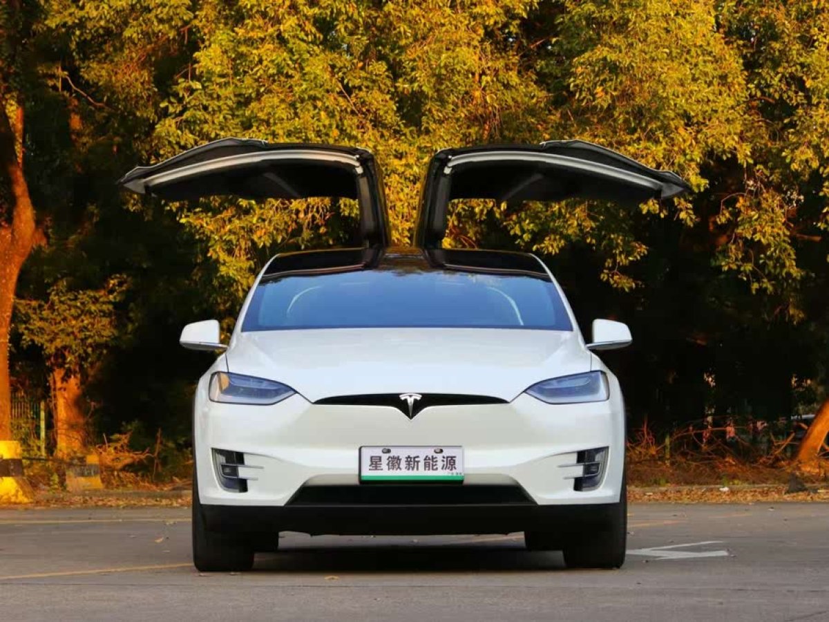 特斯拉 Model X  2020款 長(zhǎng)續(xù)航升級(jí)版圖片