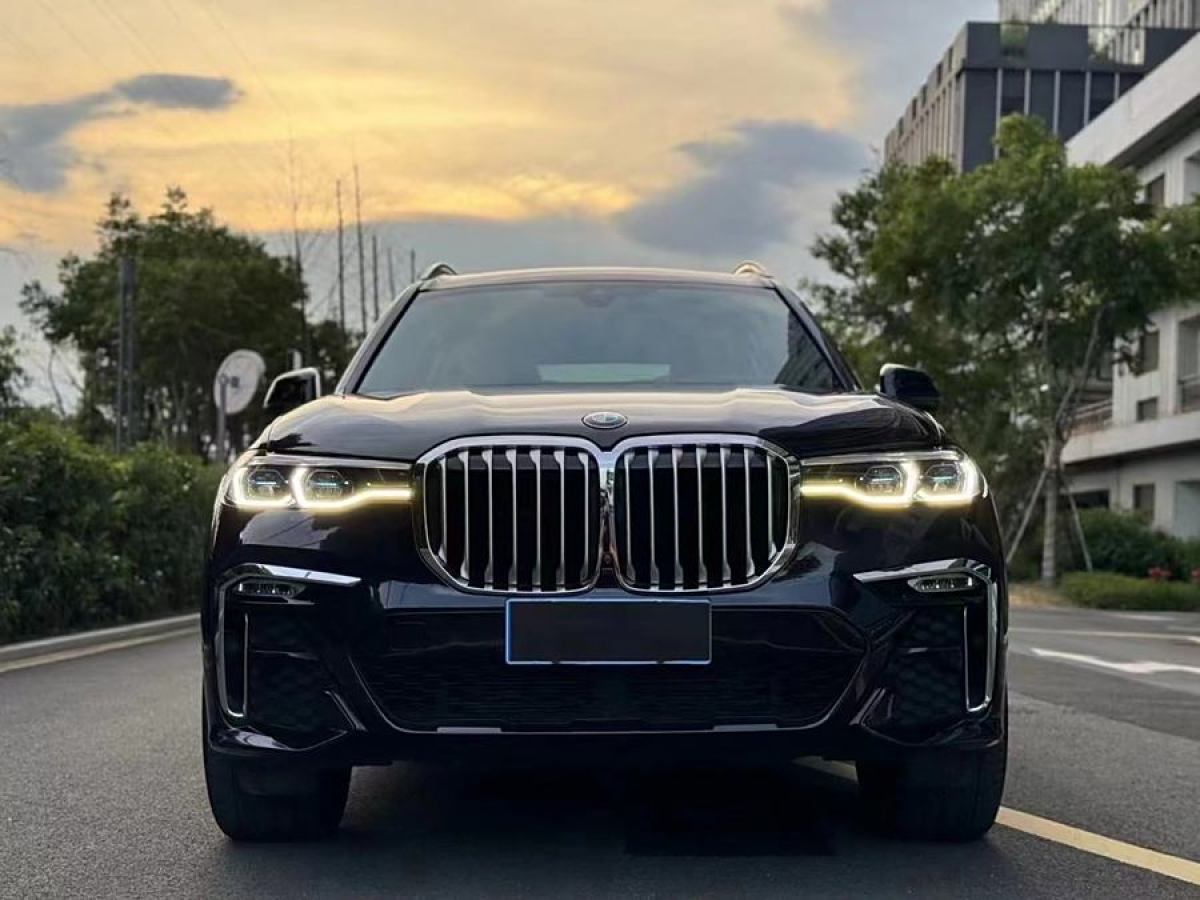 寶馬 寶馬X7  2020款 xDrive40i 領(lǐng)先型豪華套裝圖片