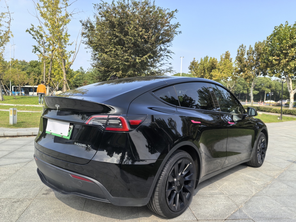 特斯拉 Model Y  2022款 后輪驅(qū)動版圖片