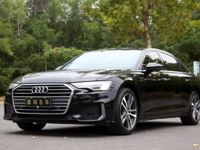 2021年1月 奧迪 奧迪A6L 40 TFSI 豪華動感型圖片