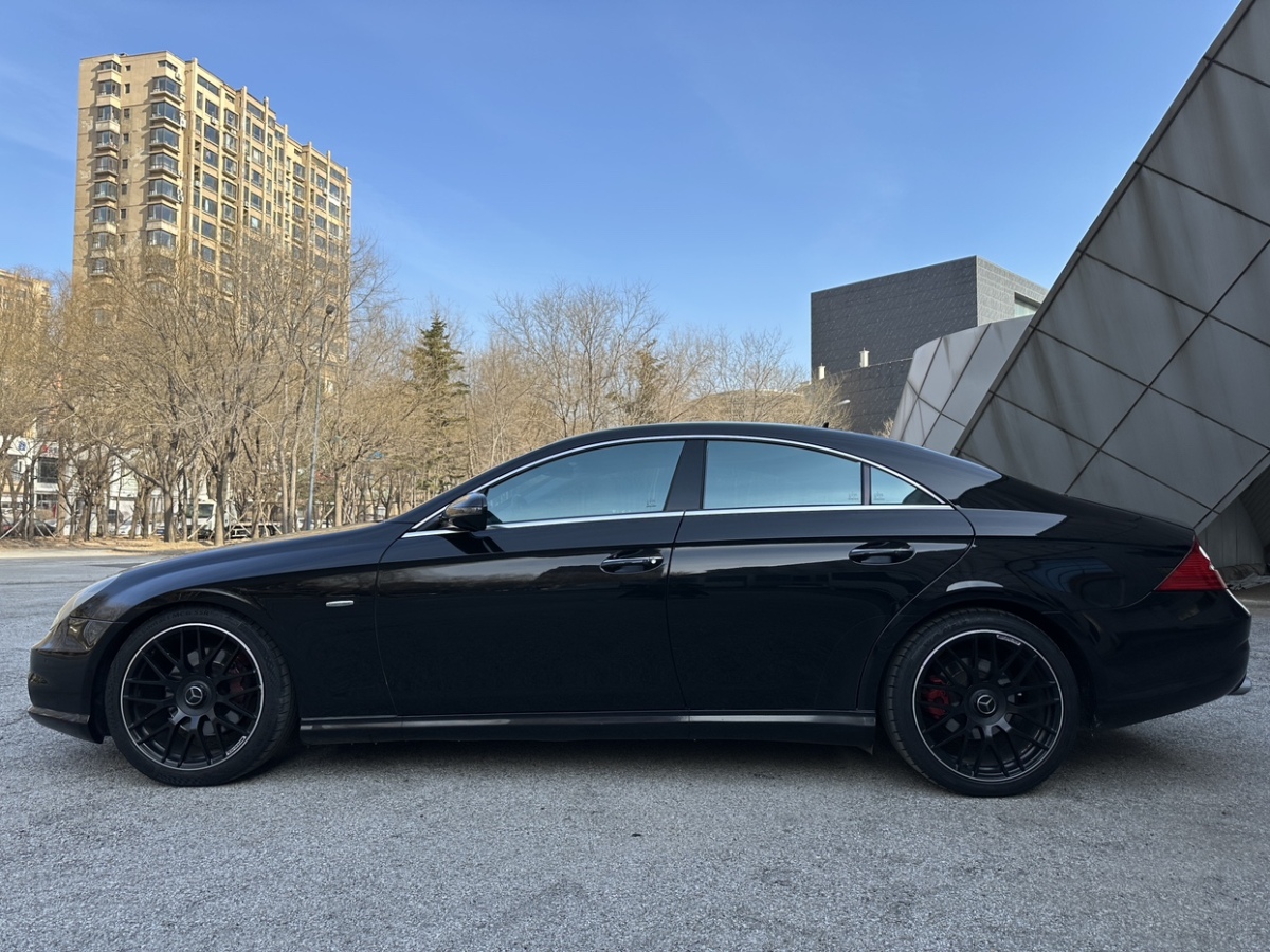 奔馳 奔馳CLS級  2009款 CLS 350圖片