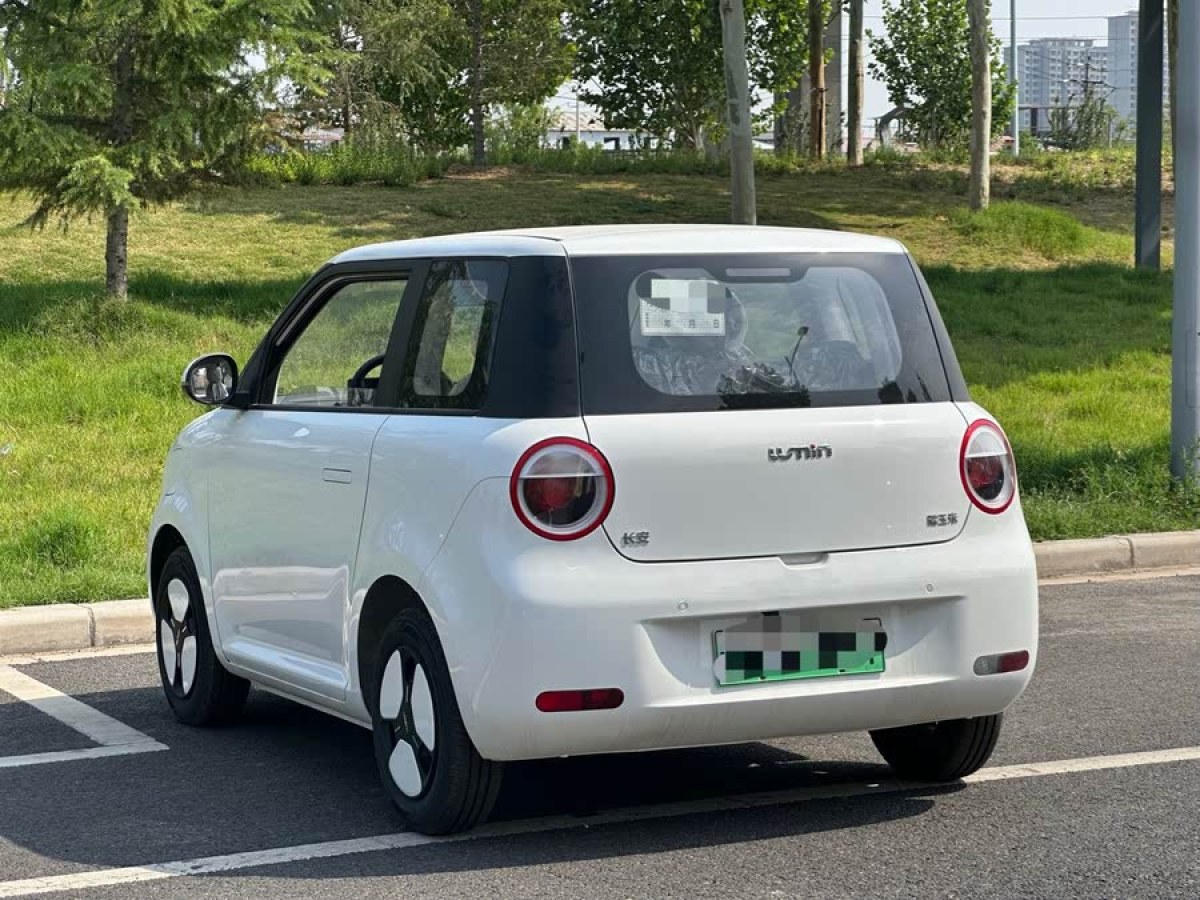 長安 長安Lumin  2023款 301km 蜜沁款圖片