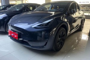 Model Y 特斯拉 后輪驅(qū)動(dòng)版