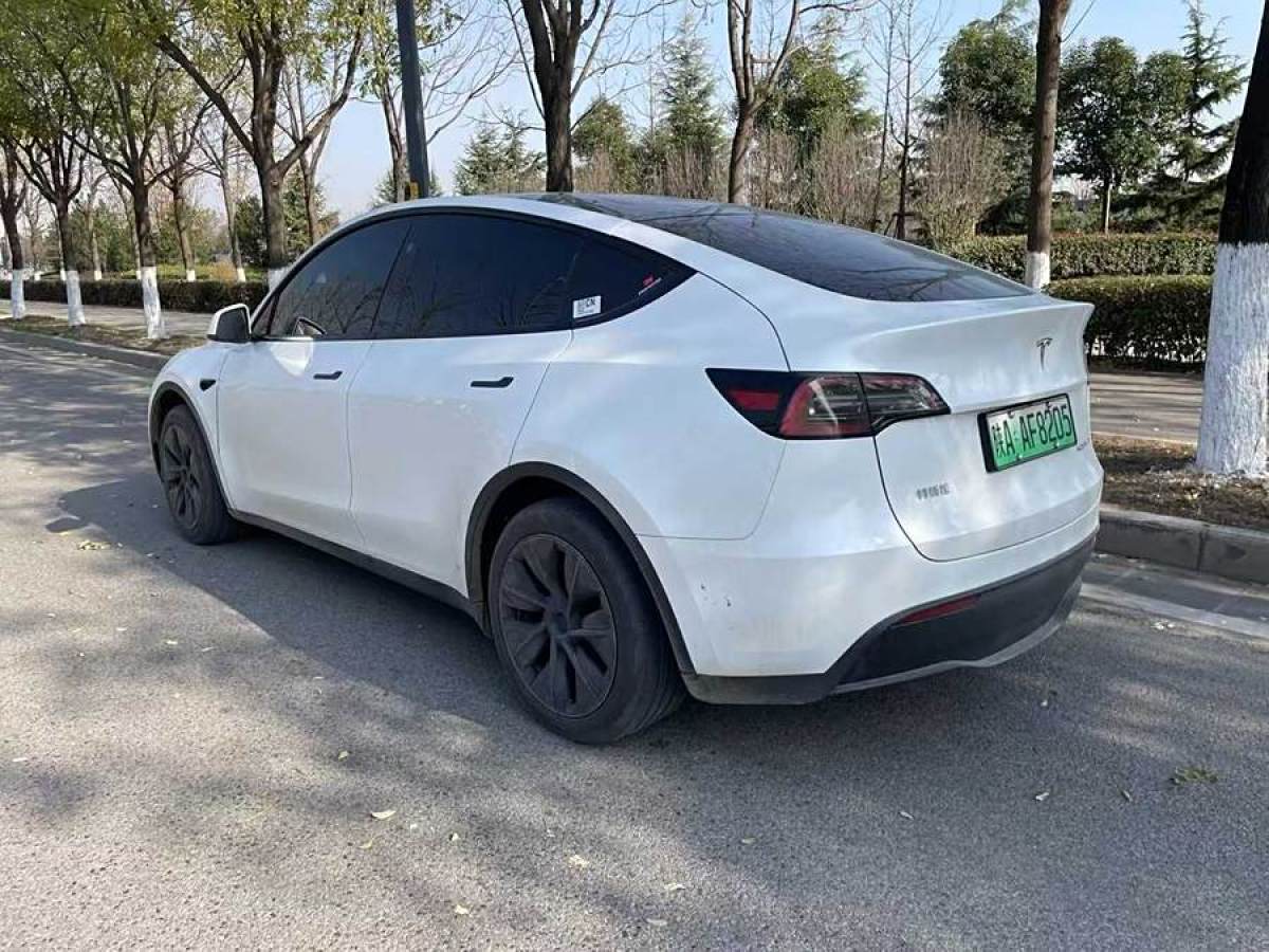 特斯拉 Model 3  2020款 改款 長續(xù)航后輪驅動版圖片