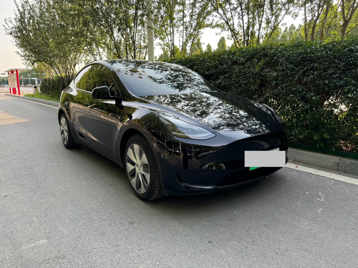 特斯拉 Model Y  2020款 改款 長(zhǎng)續(xù)航后輪驅(qū)動(dòng)版圖片