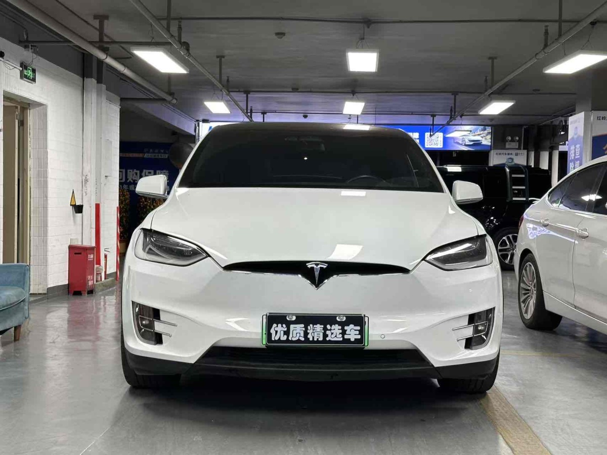 特斯拉 Model X  2017款 Model X 100D 長續(xù)航版圖片