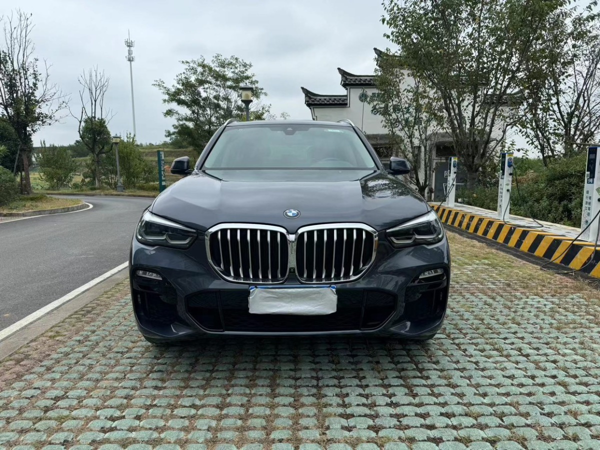 2020年01月寶馬 寶馬X5  2020款 xDrive30i X設(shè)計(jì)套裝