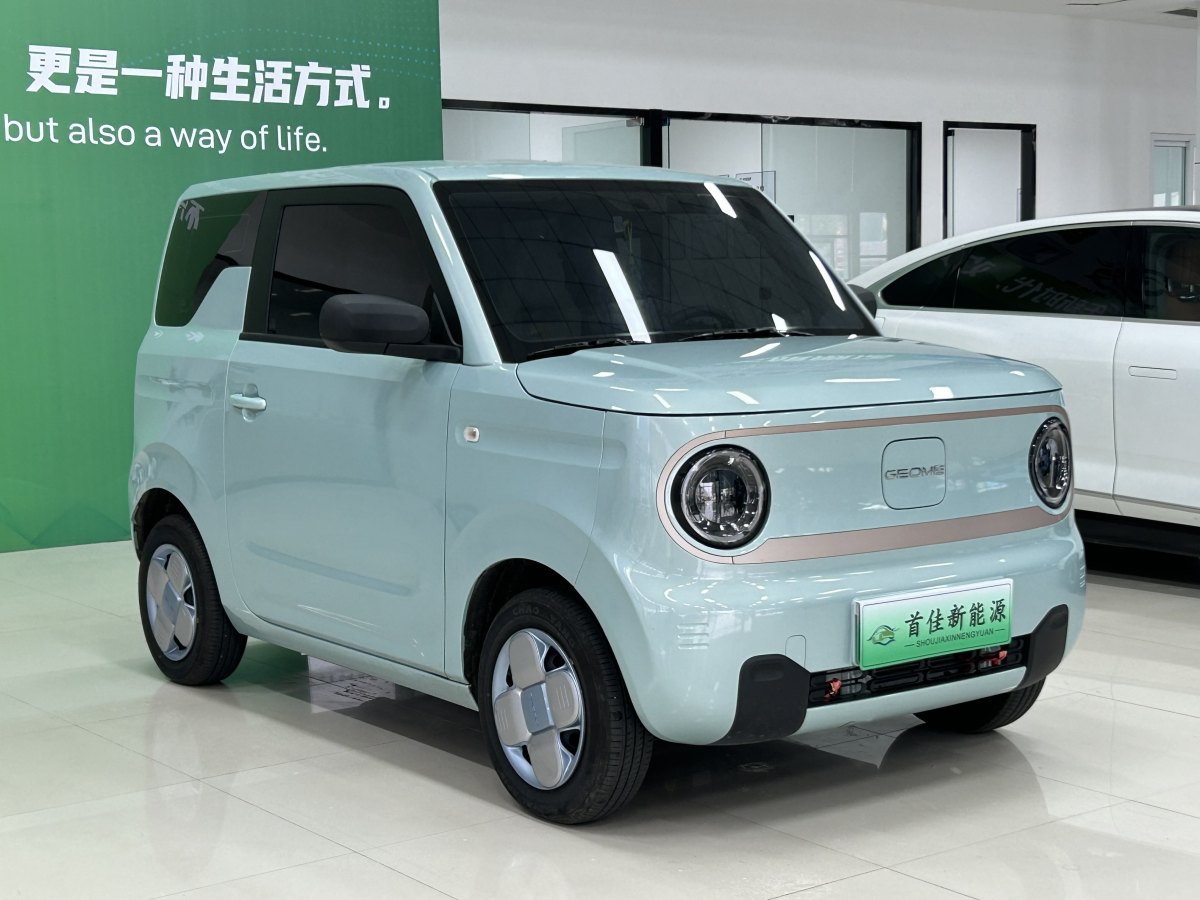 吉利 熊猫mini  2023款 200km 耐力熊图片