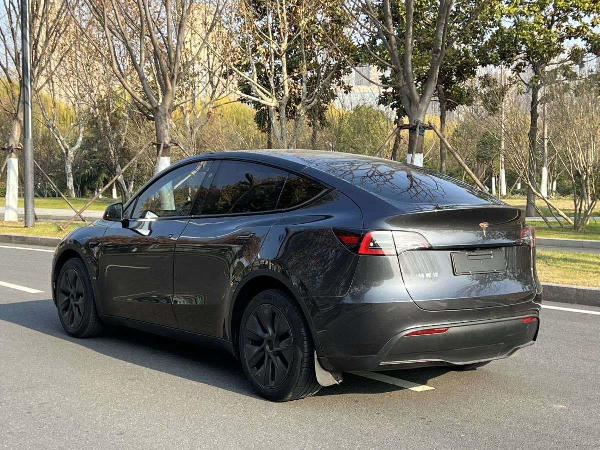 特斯拉 Model Y  2024款 長續(xù)航全輪驅(qū)動版圖片