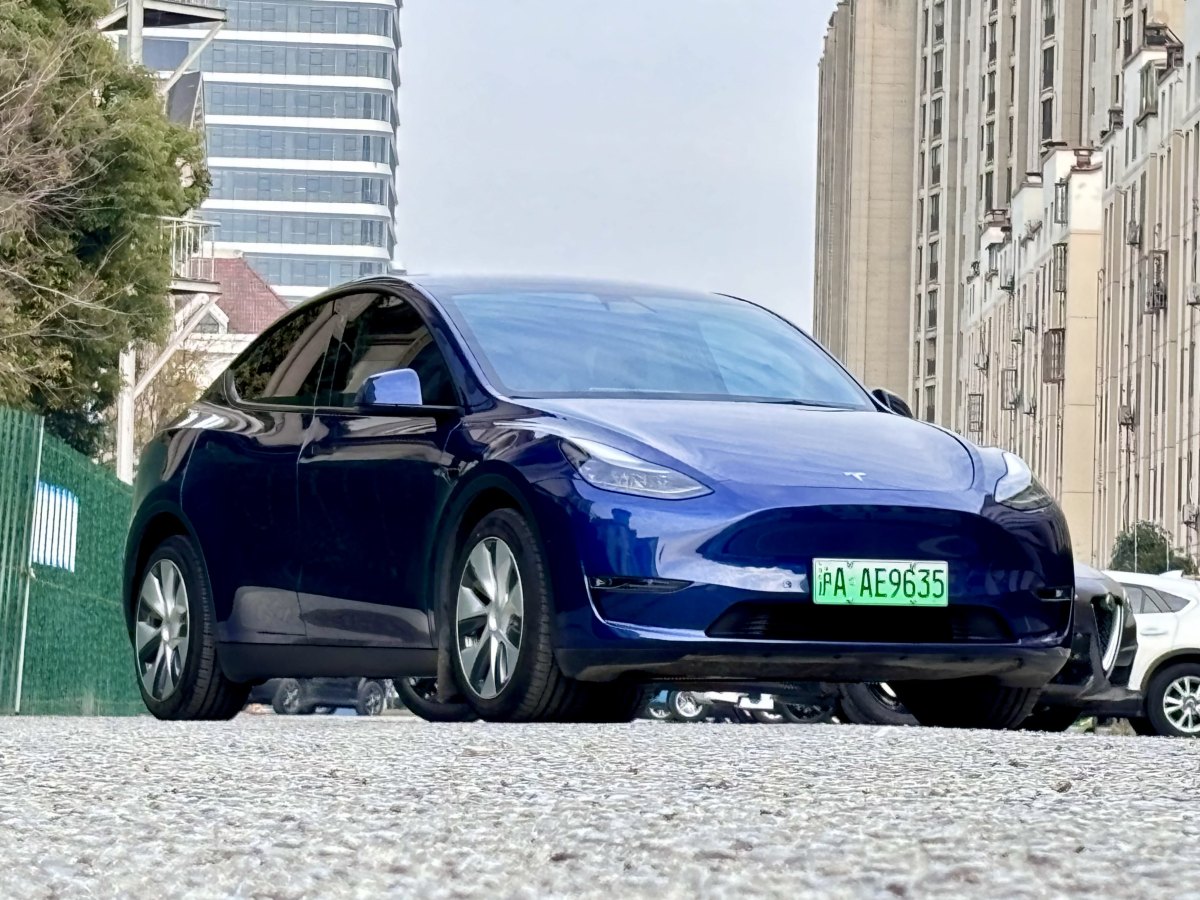 特斯拉 Model 3  2022款 后輪驅(qū)動(dòng)版圖片