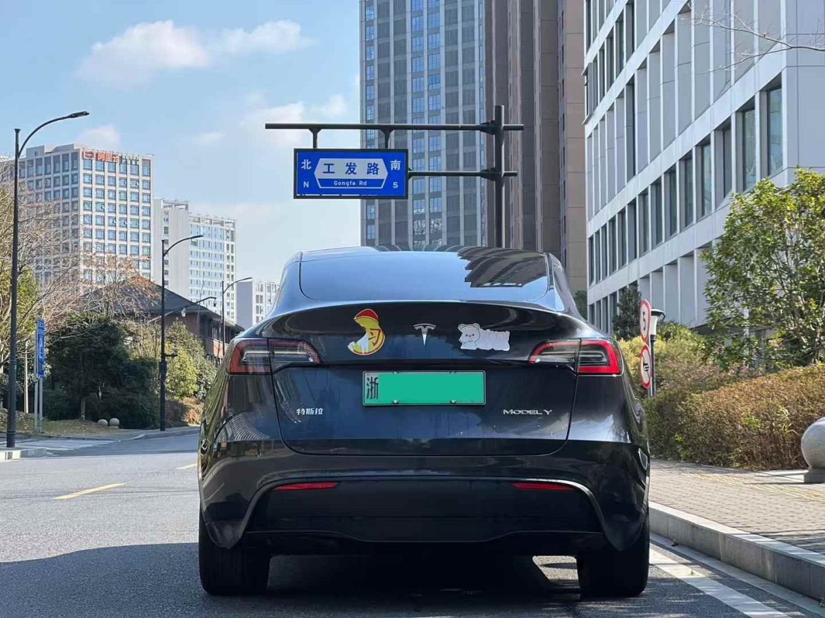 特斯拉 Model Y  2024款 Performance高性能版圖片