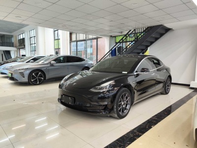 2019年6月 特斯拉 Model 3 長續(xù)航后驅(qū)版圖片