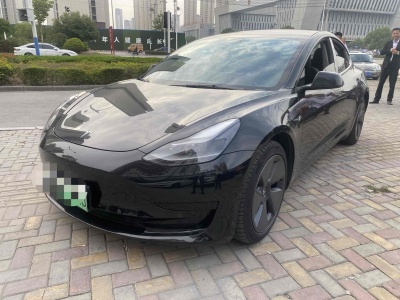 2021年7月 特斯拉 Model 3 標(biāo)準續(xù)航后驅(qū)升級版圖片