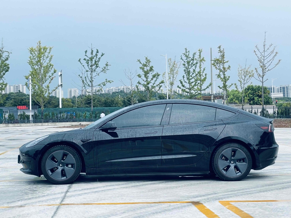 2022年6月特斯拉 Model 3  2022款 改款 后輪驅(qū)動版