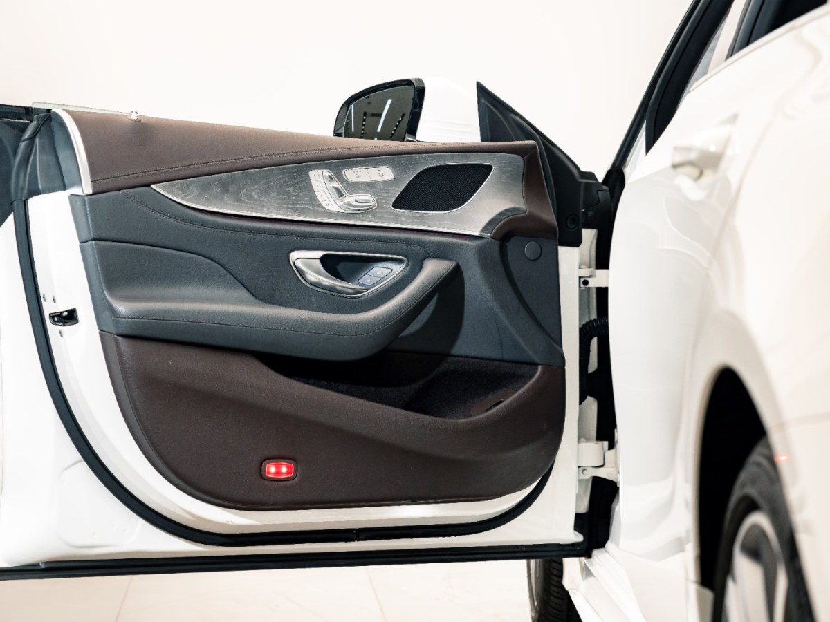 奔驰 奔驰CLS级  2020款 CLS 300 动感型图片