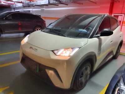 2024年3月 比亞迪 海鷗 榮耀版 305km 活力版圖片