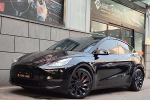 Model Y 特斯拉 Performance高性能全輪驅(qū)動版