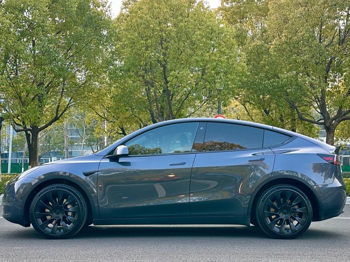 特斯拉 Model Y  2022款 改款 長(zhǎng)續(xù)航全輪驅(qū)動(dòng)版圖片