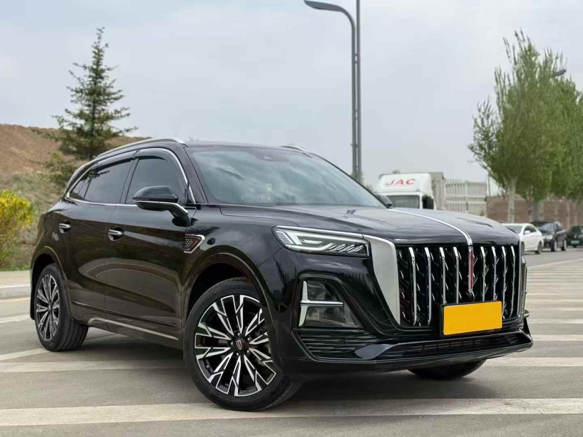紅旗 紅旗國(guó)雅  2024款 3.0T V6版圖片