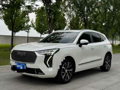 2022年1月 哈弗 哈弗赤兔 1.5L DHT王者兔圖片