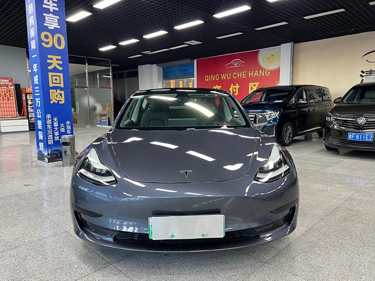 特斯拉 Model 3  2019款 標(biāo)準(zhǔn)續(xù)航后驅(qū)升級版圖片