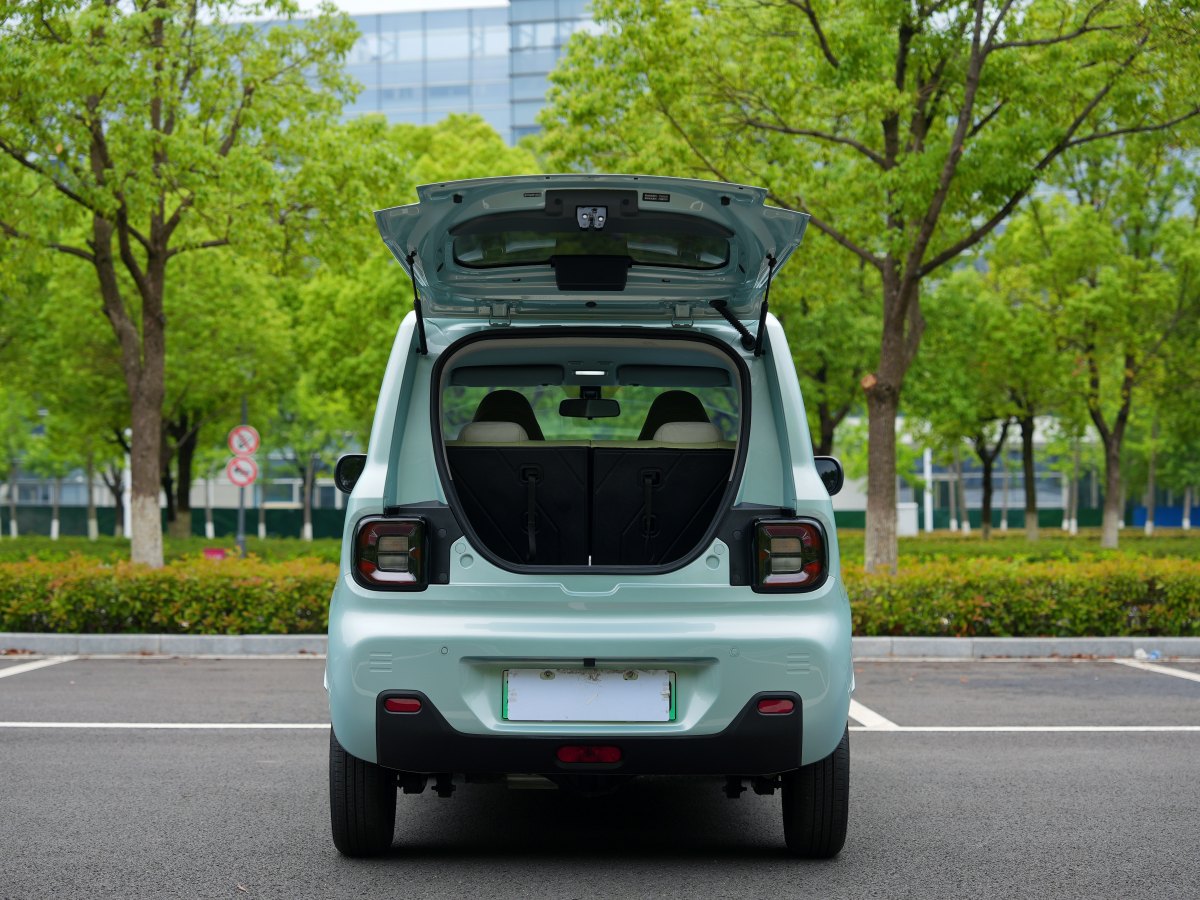 2023年6月吉利 熊貓mini  2023款 200km 靈動熊