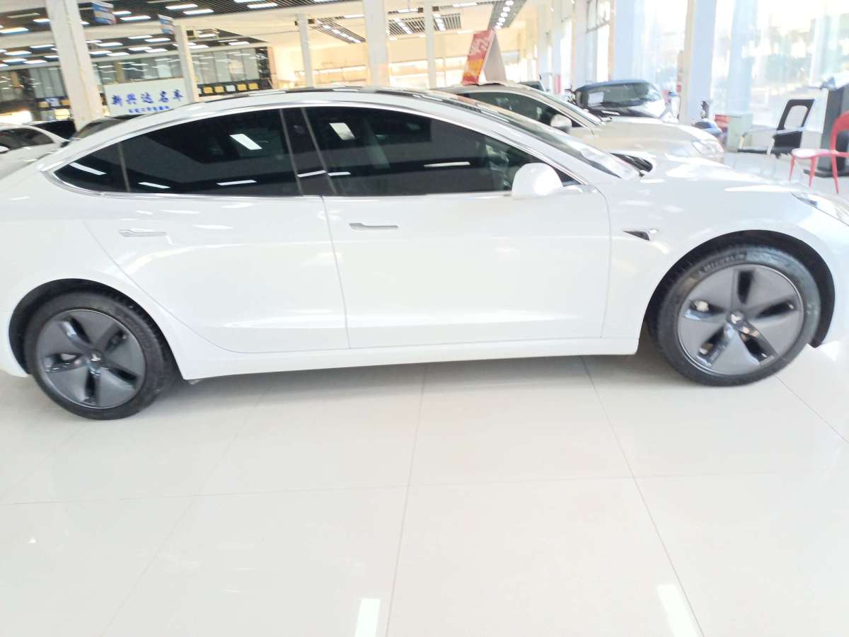 特斯拉 Model 3  2019款 標(biāo)準(zhǔn)續(xù)航后驅(qū)升級(jí)版圖片