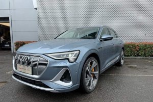 奧迪e-tron 奧迪 50 quattro 尊享型