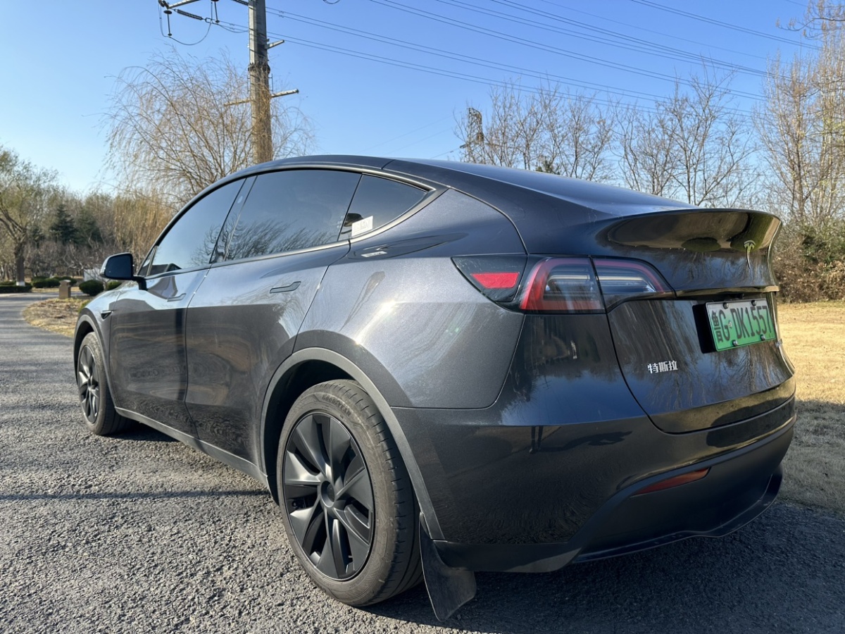 特斯拉 Model Y  2024款 后輪驅動版圖片