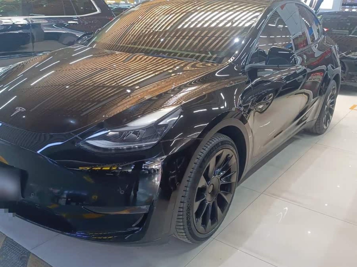 特斯拉 Model Y  2021款 標(biāo)準(zhǔn)續(xù)航后驅(qū)版圖片