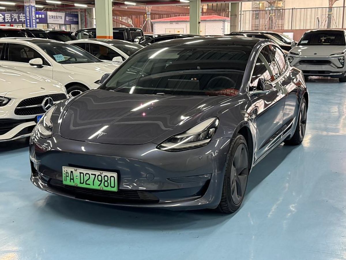 2020年3月特斯拉 Model 3  2019款 長(zhǎng)續(xù)航全輪驅(qū)動(dòng)版